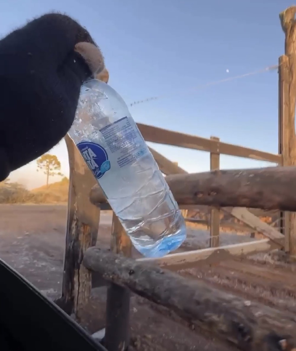 Sob frio de -6°C, água congela quase de forma imediata em Santa Catarina