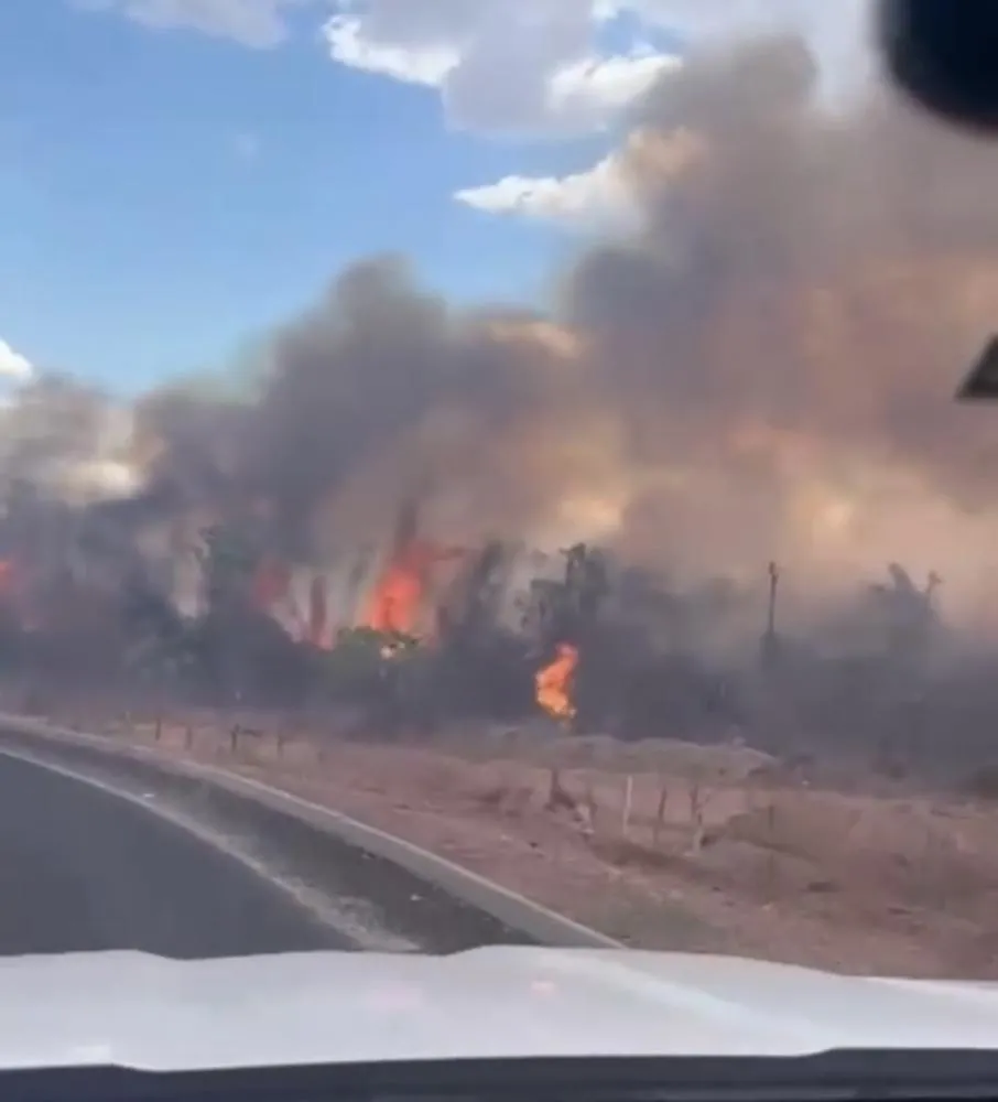Incêndio de grandes proporções atinge área próxima a Santa Cruz do Piauí