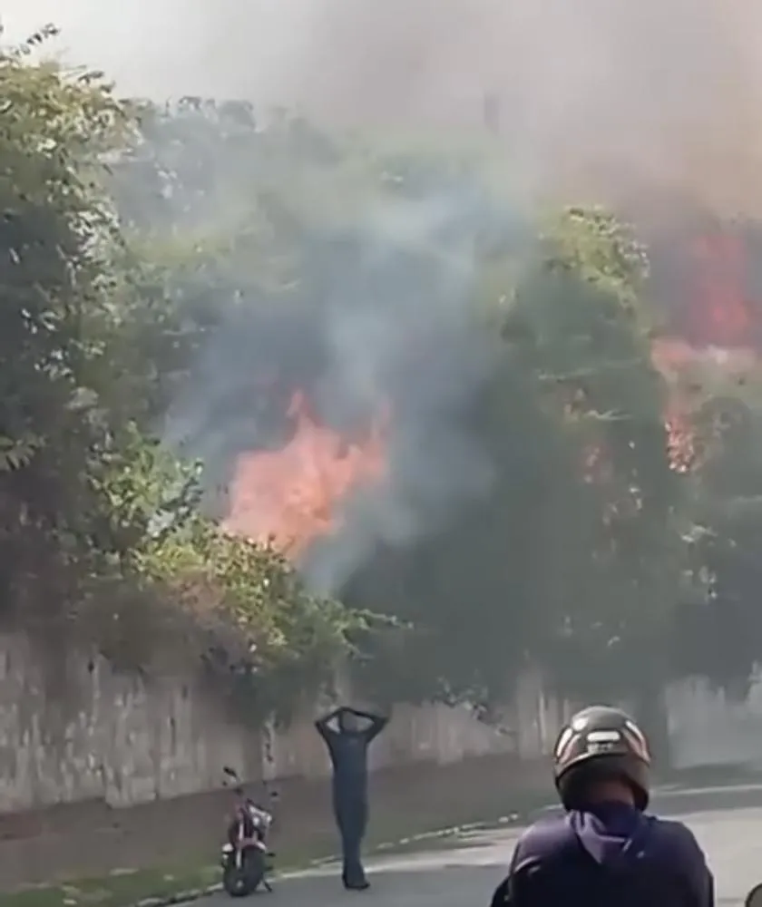 Incêndio de grandes proporções atinge área da Embrapa e do Jardim Botânico em Teresina