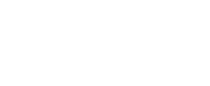 Portal Virou Notícia